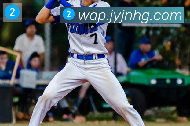 博亚app官网平台生态图