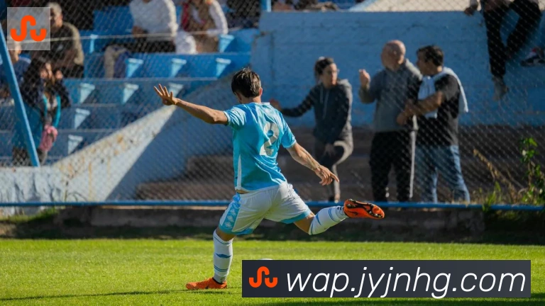 博亚app官网服务体系