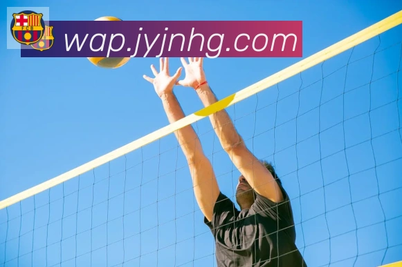 App Interface Preview