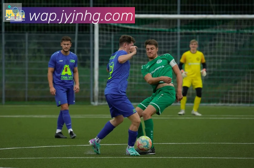 博亚app官网荣誉