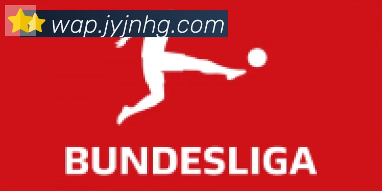 博亚app官网合作伙伴