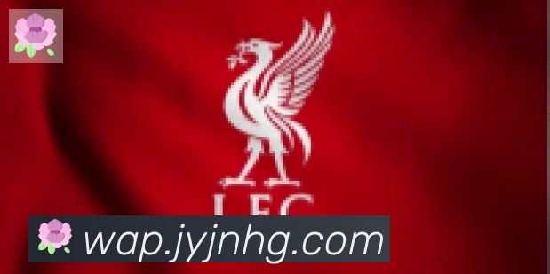 博亚app官网合作伙伴